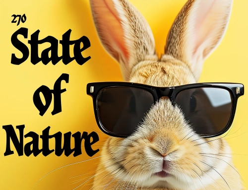 Aesop’s Fables: State of Nature