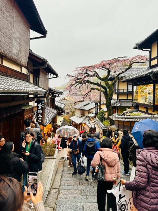 A bustling street in Kyoto, Japan, lined with traditional wooden houses. The stone steps are filled with tourists, some holding umbrellas on a cloudy day. A tree with pink blossoms stands prominently on the right, adding a touch of color to the scene.